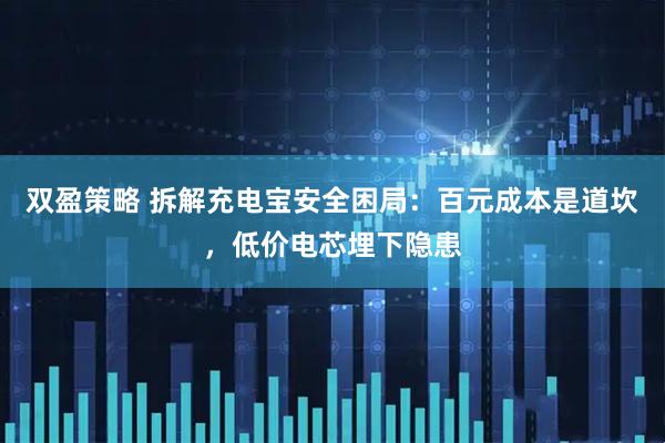 双盈策略 拆解充电宝安全困局：百元成本是道坎，低价电芯埋下隐患