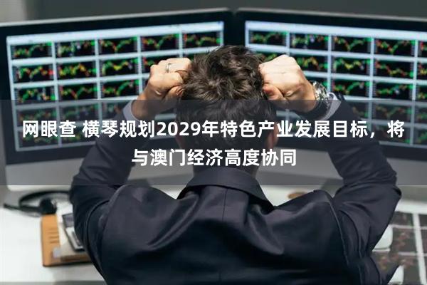 网眼查 横琴规划2029年特色产业发展目标，将与澳门经济高度协同