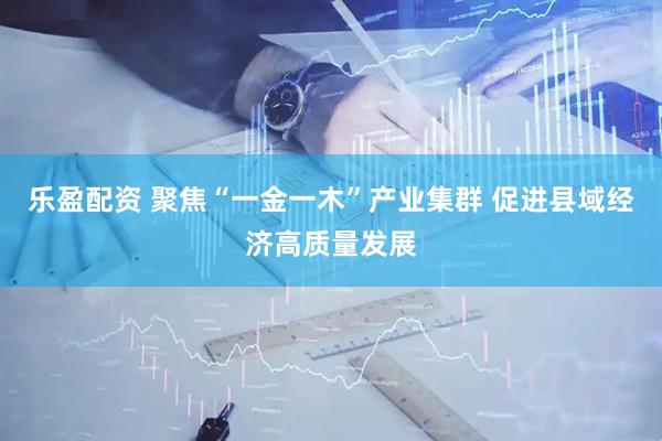 乐盈配资 聚焦“一金一木”产业集群 促进县域经济高质量发展