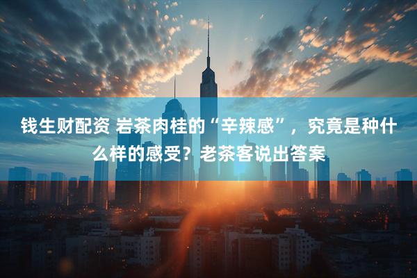 钱生财配资 岩茶肉桂的“辛辣感”，究竟是种什么样的感受？老茶客说出答案