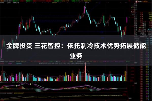 金牌投资 三花智控:依托制冷技术优势拓展储能业务
